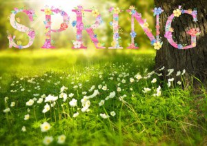 Spring graphic